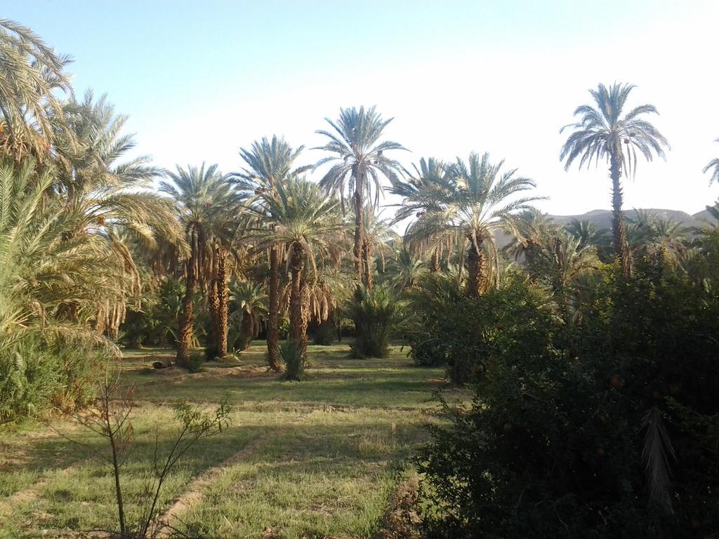 Tamnougalt Kasbah Itrane Bed & Breakfast エクステリア 写真