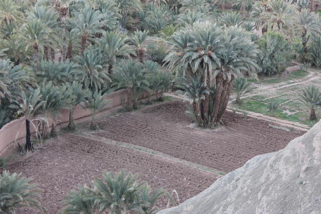 Tamnougalt Kasbah Itrane Bed & Breakfast エクステリア 写真
