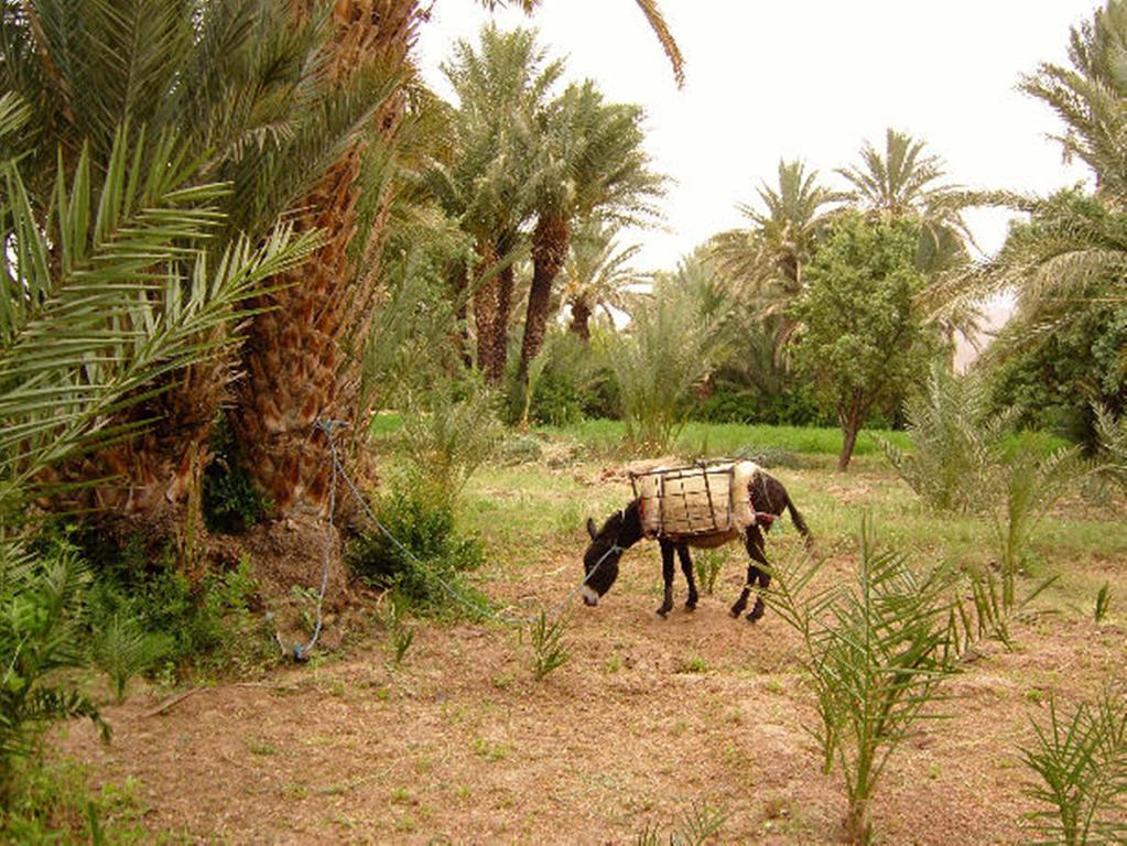 Tamnougalt Kasbah Itrane Bed & Breakfast エクステリア 写真